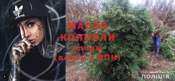 скорость Вяземский