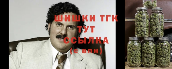 apvp Вязьма