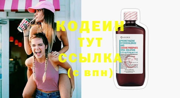 apvp Вязьма