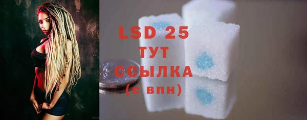 скорость Вяземский