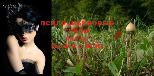 соль курить ск Горнозаводск