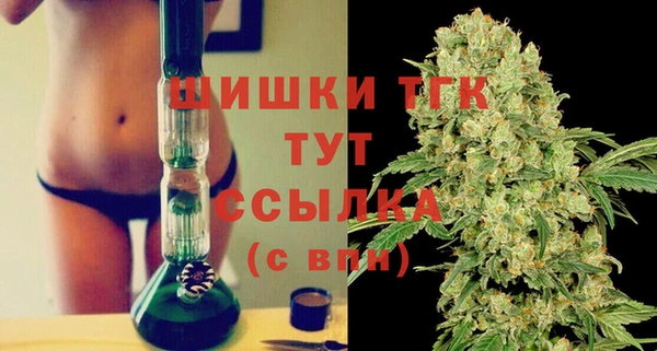 МДПВ Горняк