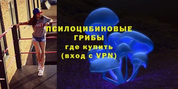 соль курить ск Горнозаводск