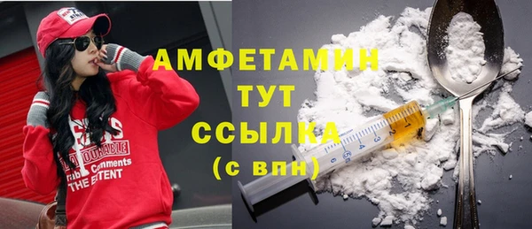 скорость Вяземский
